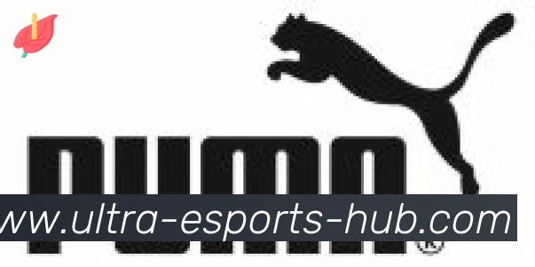 CSGO竞猜合作伙伴